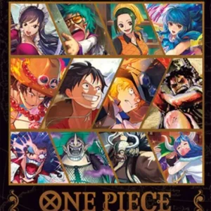 ONE PIECE CARD GAME PREMIUM CARD COLLECTION VOL 3